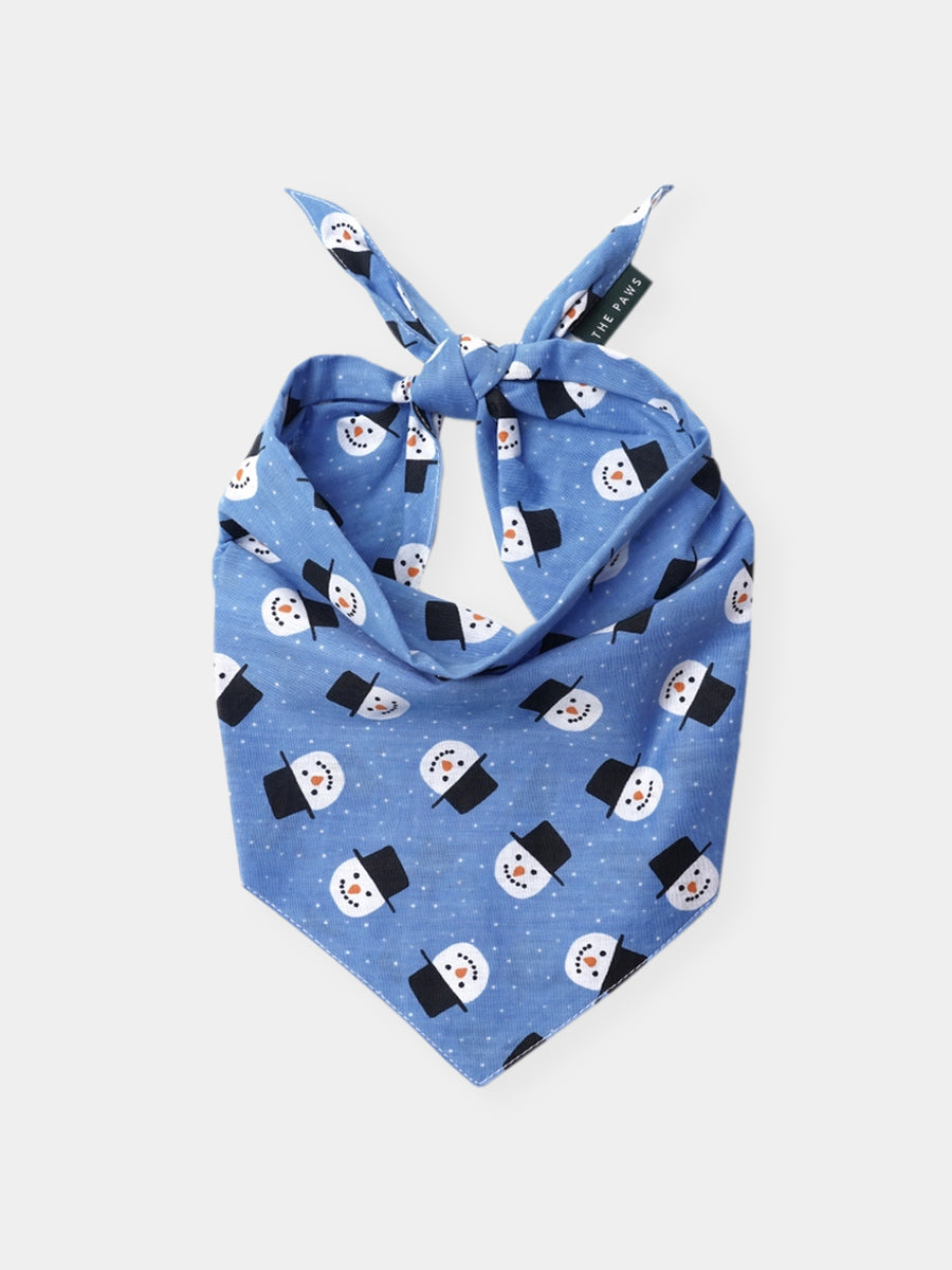 The-Paws-bandana-pour-chien-snow-day