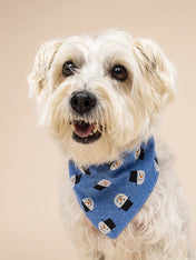 The-Paws-bandana-pour-chien-snow-day