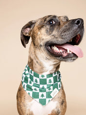 The-Paws-bandana-pour-chien-spruce