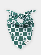 The-Paws-bandana-pour-chien-spruce