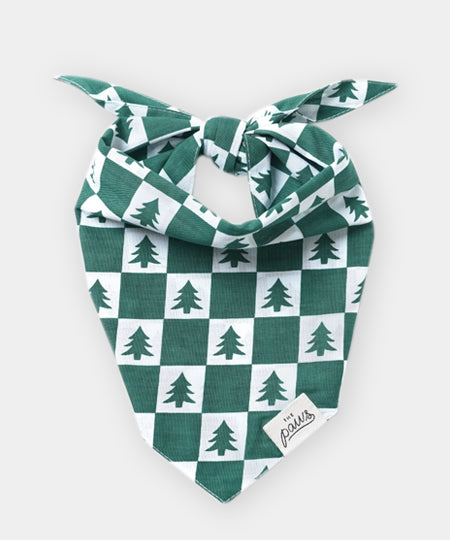 The-Paws-bandana-pour-chien-spruce