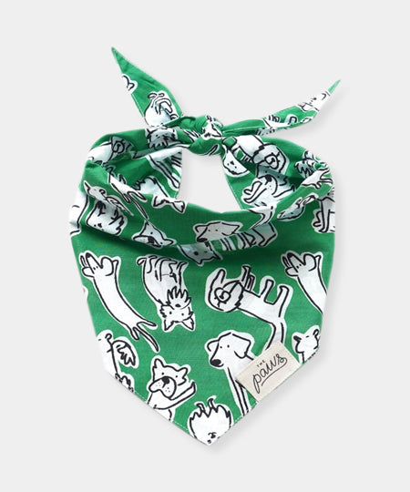     The-Paws-bandana-pour-chien-the-park