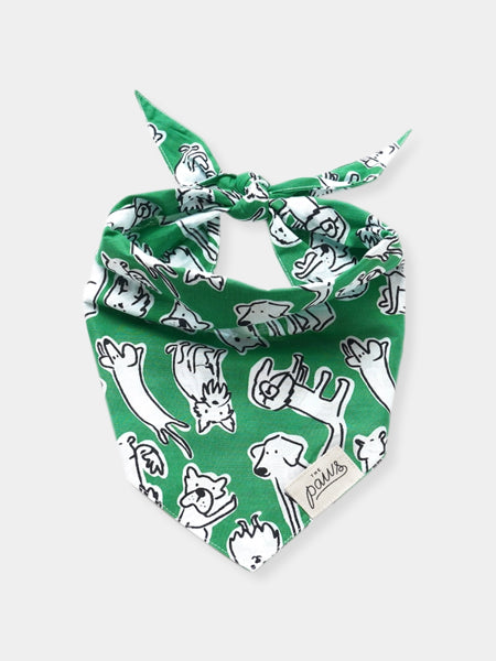     The-Paws-bandana-pour-chien-the-park