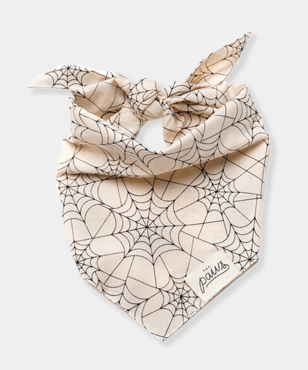       The-Paws-bandana-pour-chien-toile-araignee-Bitsy