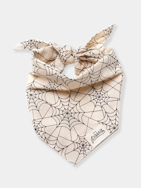       The-Paws-bandana-pour-chien-toile-araignee-Bitsy