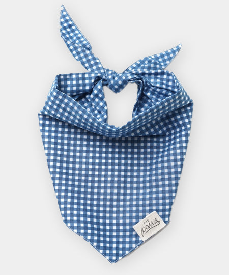 The-Paws-bandana-pour-chien-vichy-bleu