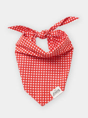 The-Paws-bandana-pour-chien-vichy-rouge