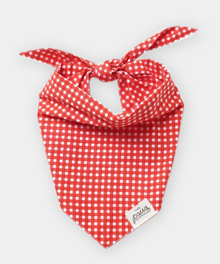 The-Paws-bandana-pour-chien-vichy-rouge