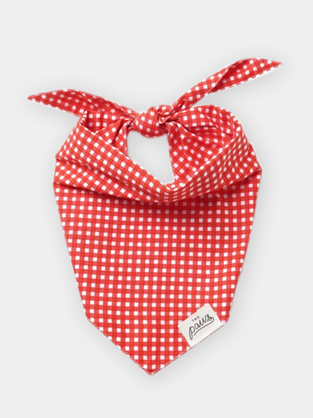 The-Paws-bandana-pour-chien-vichy-rouge