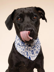 The-Paws-bandana-pour-chien-wander