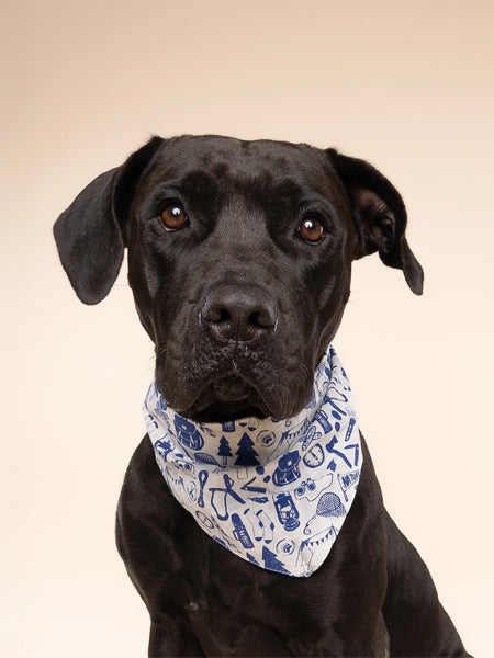 The-Paws-bandana-pour-chien-wander