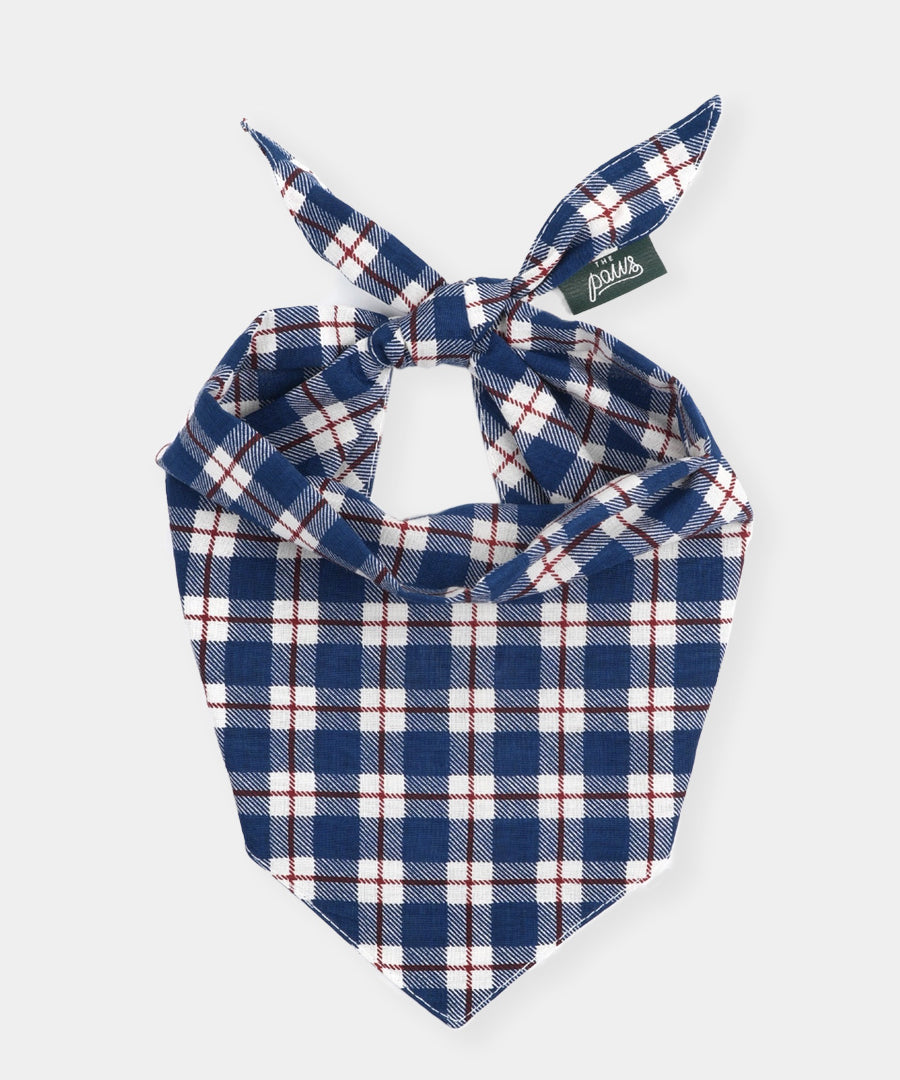 The-Paws-bandana-pour-chien-winter