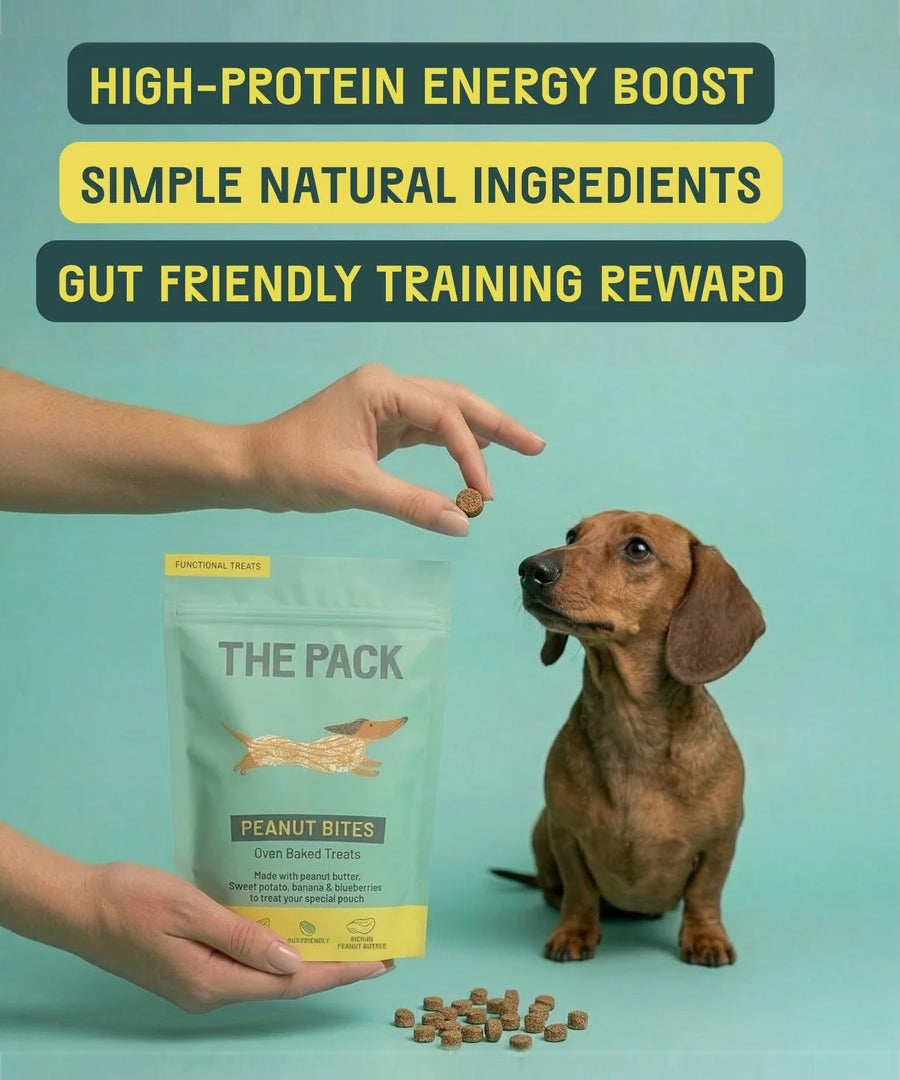 The-pack-friandises-vegan-pour-chien-beurre-de-cacahuete