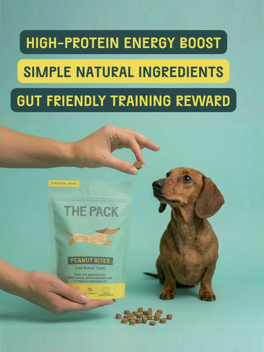 The-pack-friandises-vegan-pour-chien-beurre-de-cacahuete