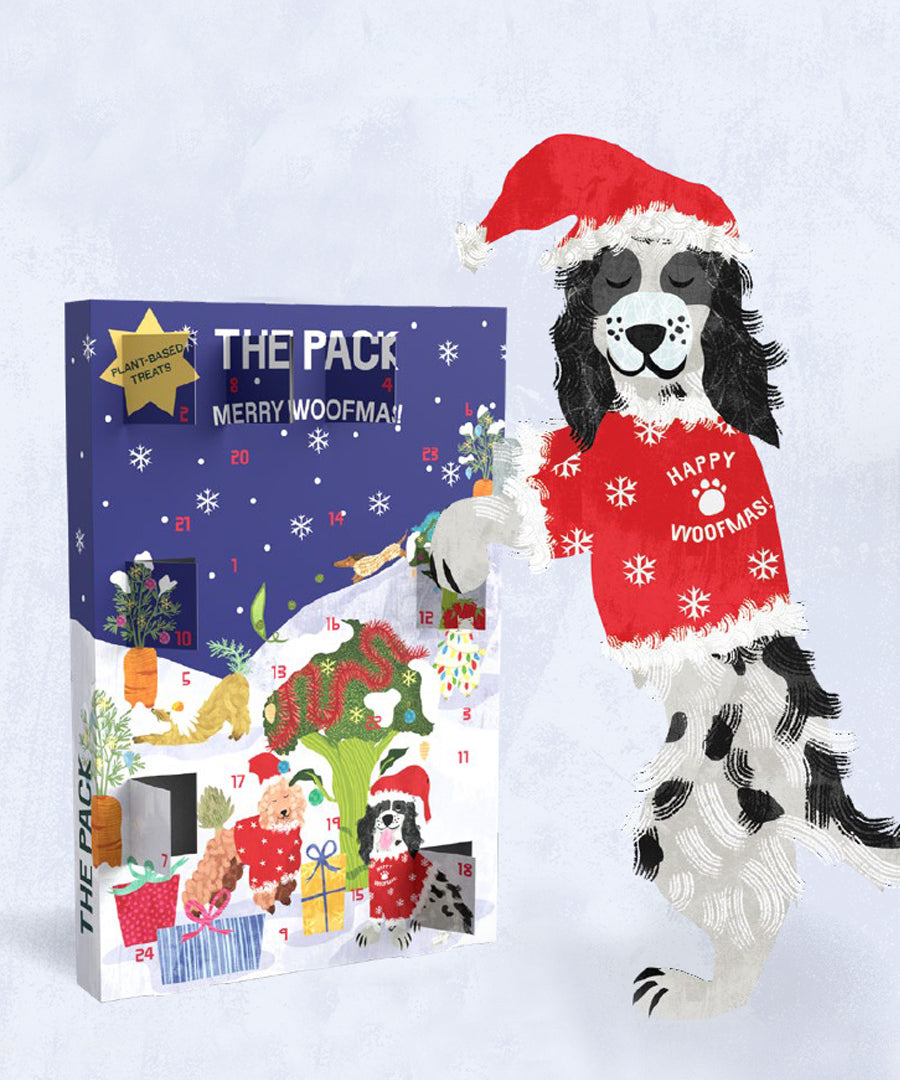 The-pack-friandises-vegan-pour-chien-calendrier-avent-2026