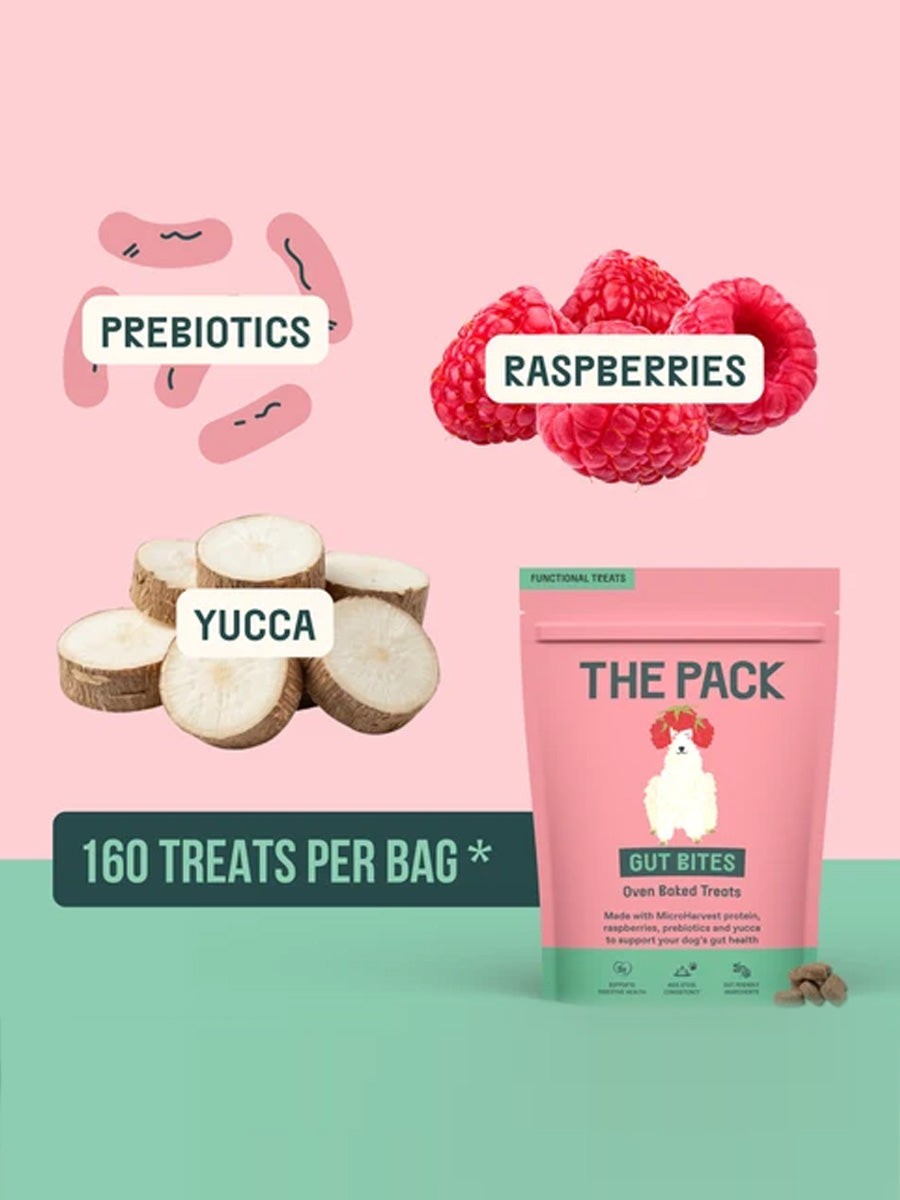 The-pack-friandises-vegan-pour-chien-gut-bites-digestion