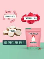 The-pack-friandises-vegan-pour-chien-gut-bites-digestion
