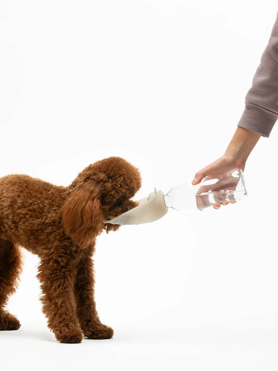 United-pets-gourde-eau-pour-chien-leaf-sable