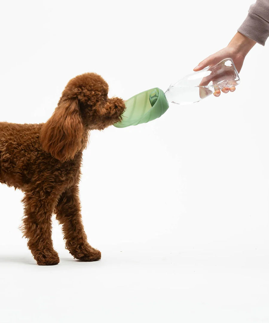 United-pets-gourde-eau-pour-chien-leaf-vert