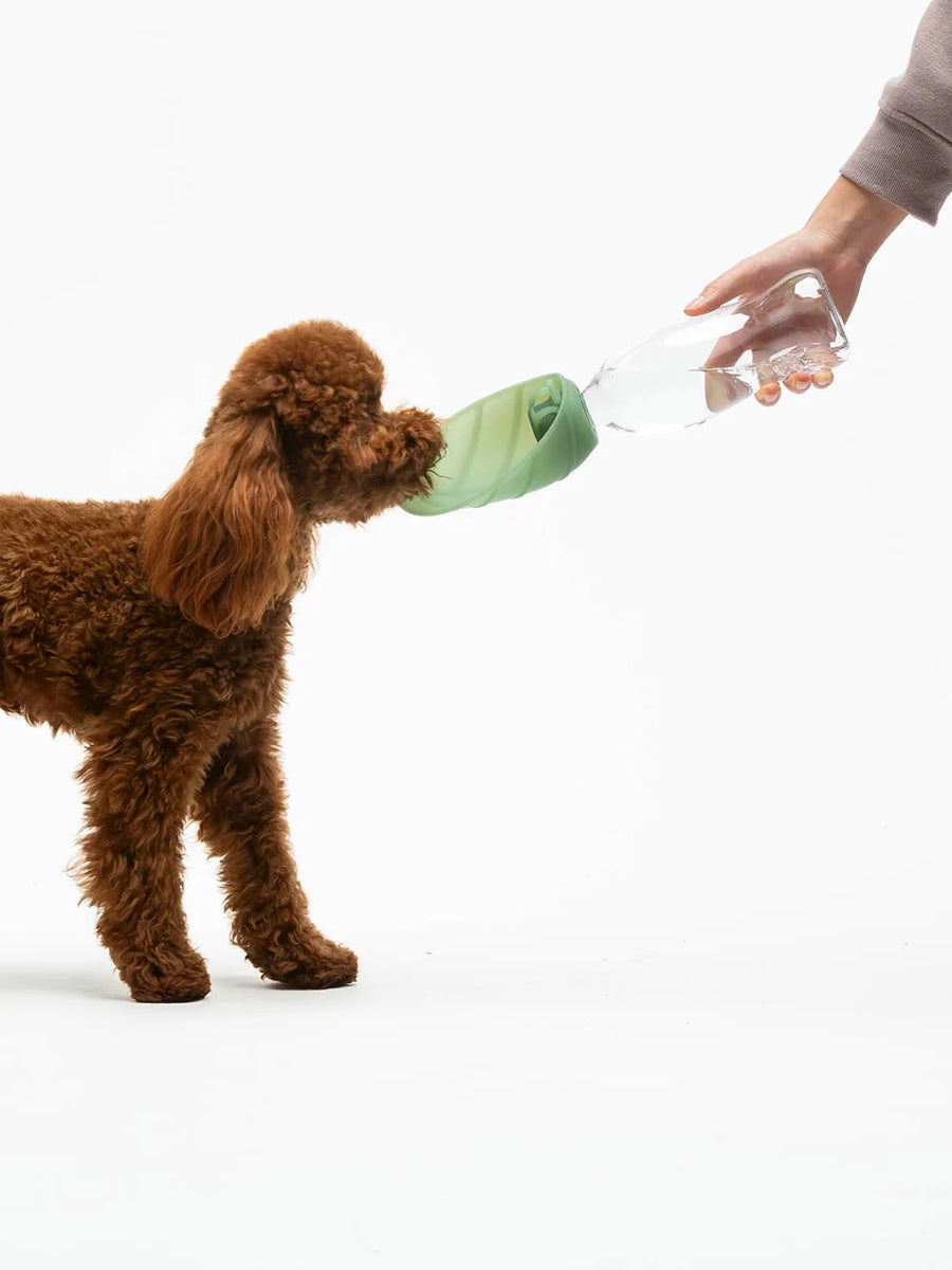United-pets-gourde-eau-pour-chien-leaf-vert