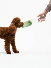 United-pets-gourde-eau-pour-chien-leaf-vert