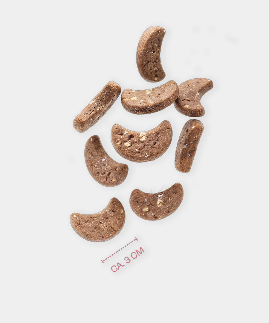 Vegdog-friandises-biscuit-cookies-noel-vegan-chien