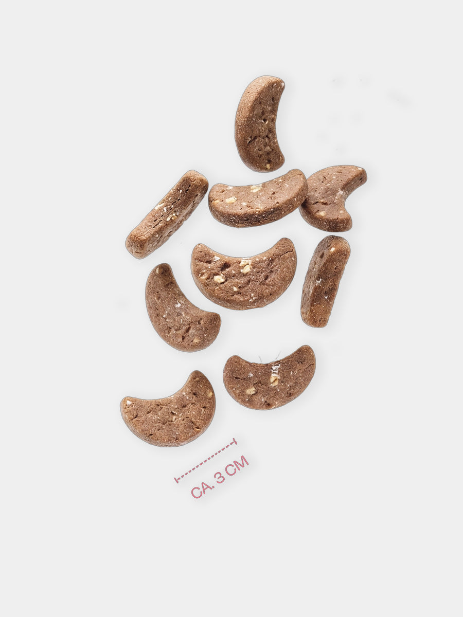 Vegdog-friandises-biscuit-cookies-noel-vegan-chien