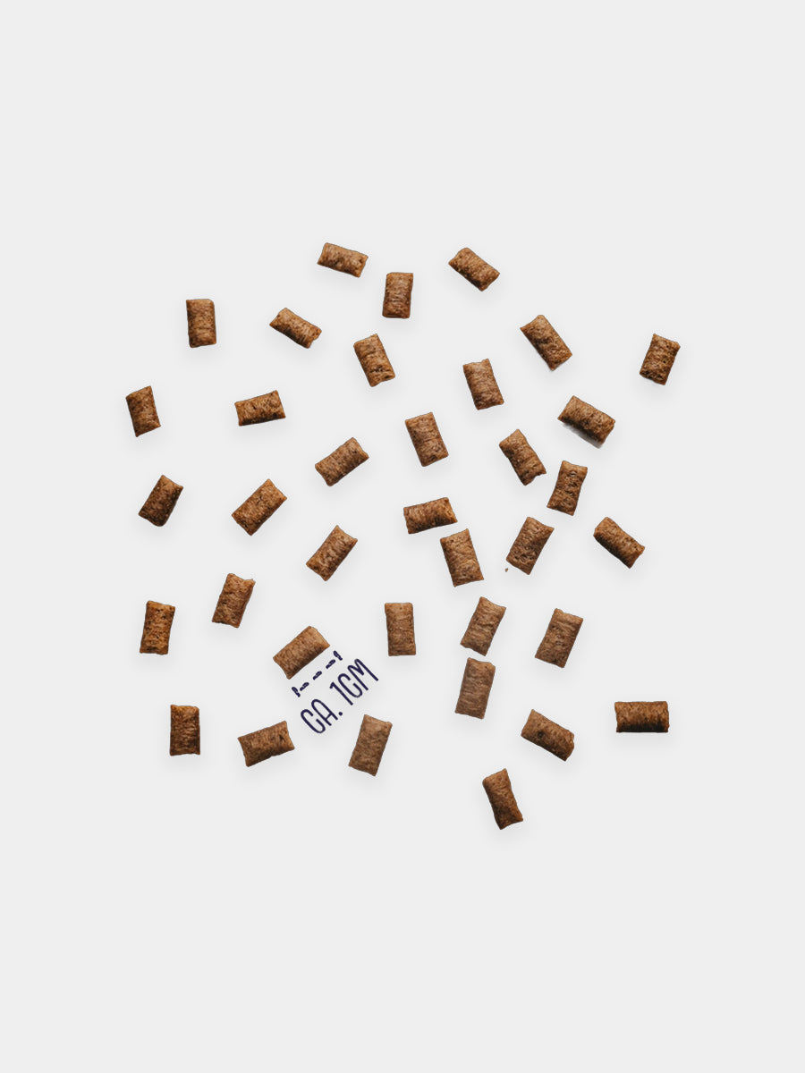 Vegdog-friandises-vegan-chat-calendrier-avent-noel-chat