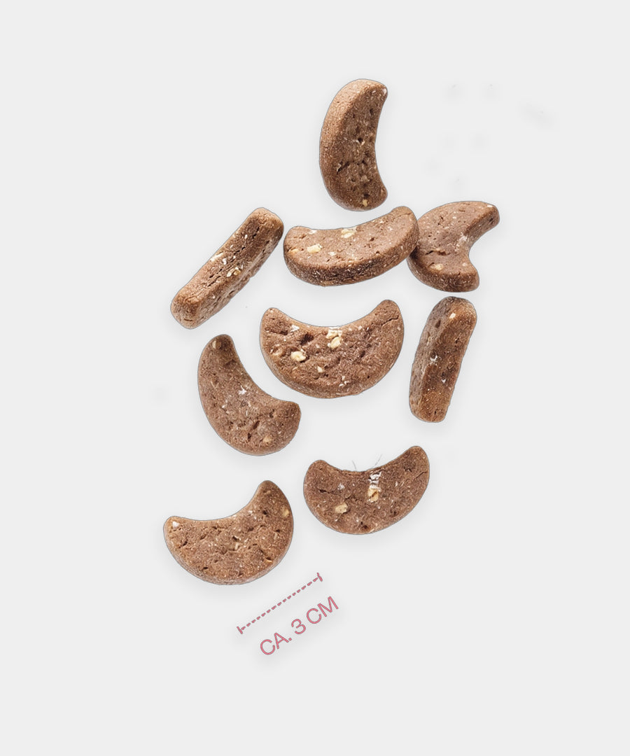 Vegdog-friandises-vegan-chien-calendrier-avent-noel-chien