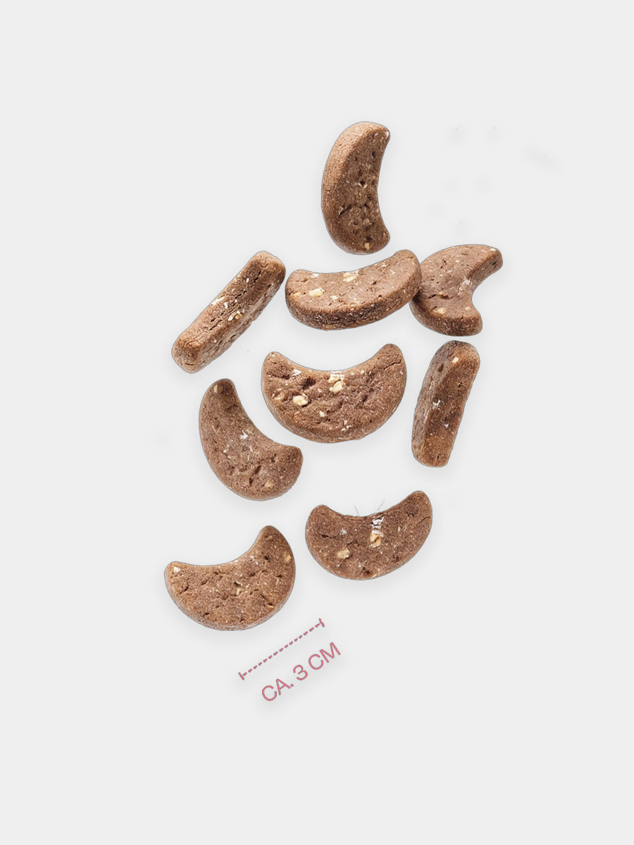 Vegdog-friandises-vegan-chien-calendrier-avent-noel-chien