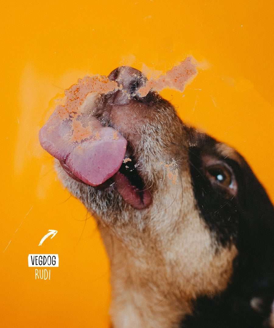 Vegdog-friandises-vegan-chiot-tube-patee-a-lecher-sensible-digestion