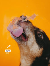 Vegdog-friandises-vegan-chiot-tube-patee-a-lecher-sensible-digestion