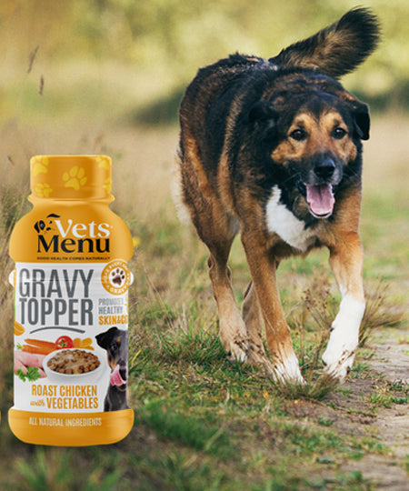 Vets-Menu-Topping-Sauce-gravy-pour-chien