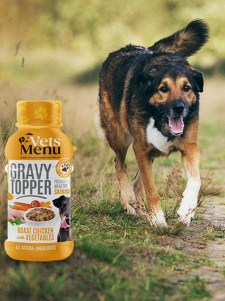 Vets-Menu-Topping-Sauce-gravy-pour-chien