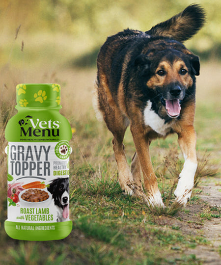 Vets-Menu-Topping-Sauce-gravy-pour-chien