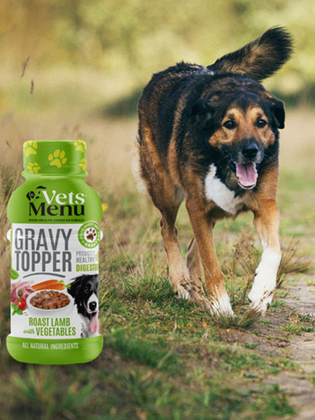 Vets-Menu-Topping-Sauce-gravy-pour-chien