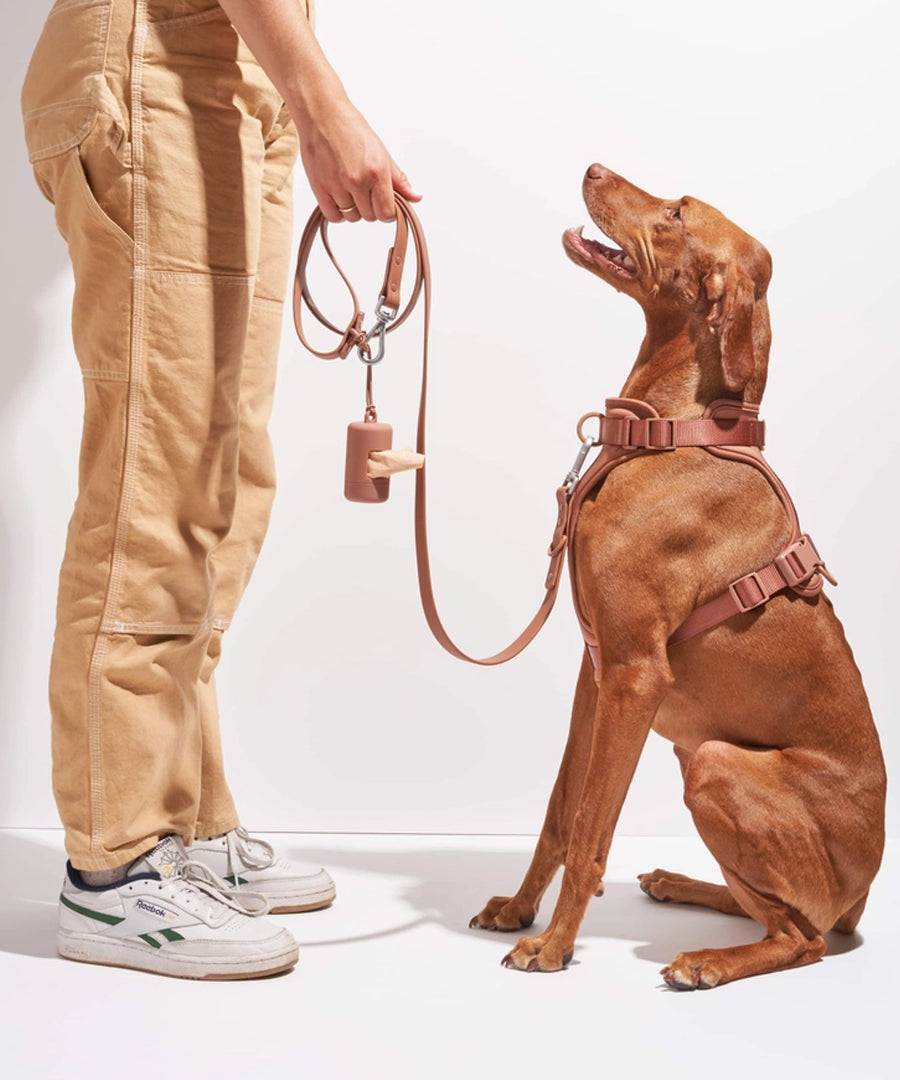 Wild-one-accessoire-chien-design-porte-sac-a-dejection-cacao