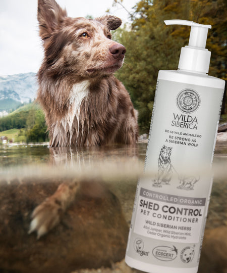 Wilda-Siberica-shampoing-bio-pour-chien-anti-chute