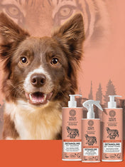 Wilda-Siberica-spray-demelant-bio-pour-chien-chiot