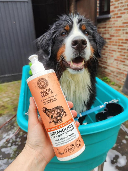 Wilda-Siberica-shampoing-bio-pour-chien-demelant