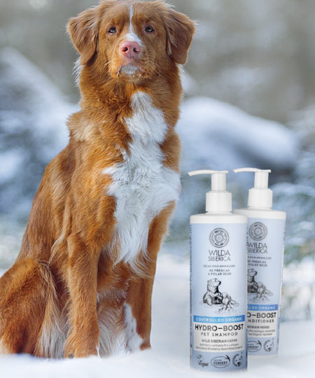 Wilda-Siberica-shampoing-bio-pour-chien-hydratant-hydro-boost