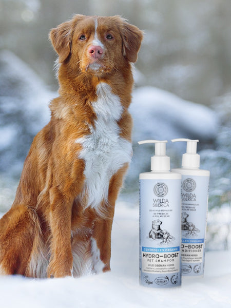 Wilda-Siberica-shampoing-bio-pour-chien-hydratant-hydro-boost