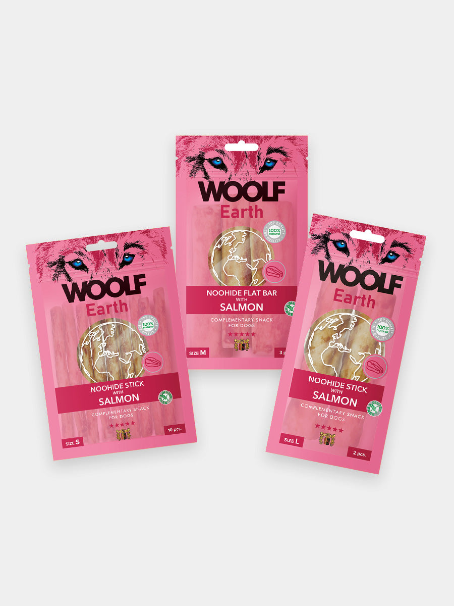 Woolf-stick-dentaire-pour-chien-noohide-saumon