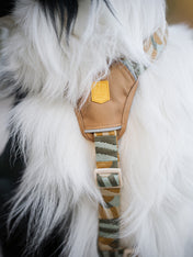 Woolly-Wolf-harnais-pour-chien-Cloudbeam