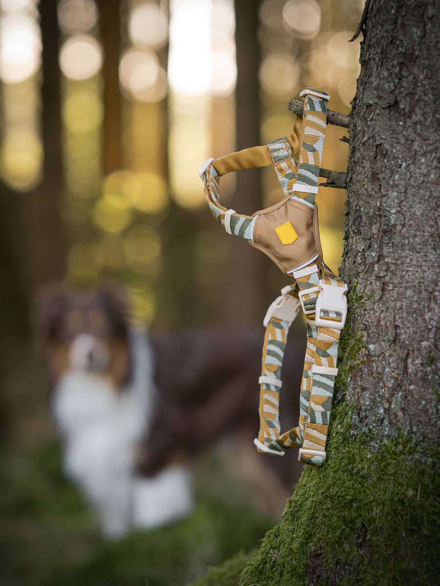 Woolly-Wolf-harnais-pour-chien-Cloudbeam