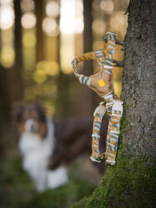 Woolly-Wolf-harnais-pour-chien-Cloudbeam