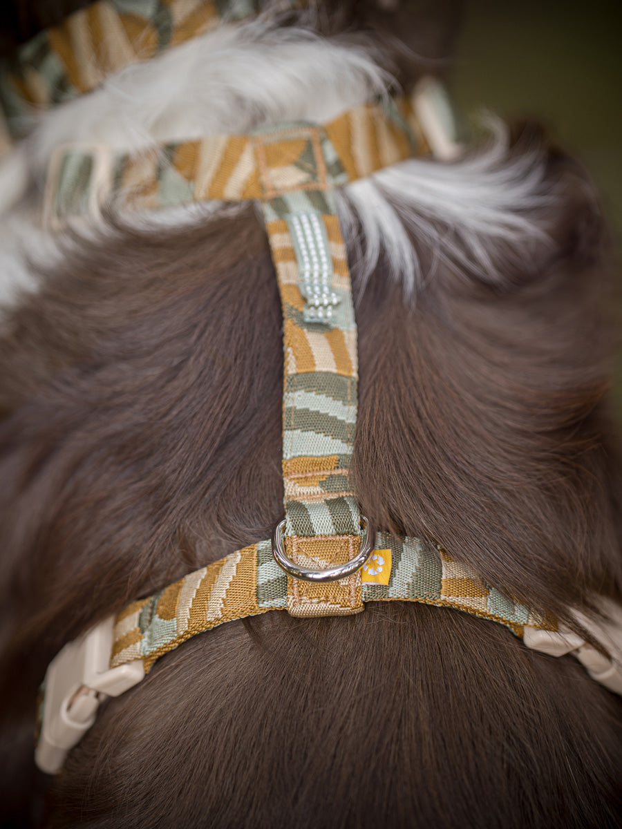 Woolly-Wolf-harnais-pour-chien-Cloudbeam