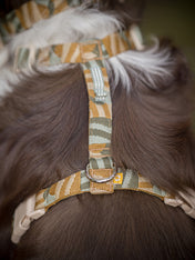 Woolly-Wolf-harnais-pour-chien-Cloudbeam