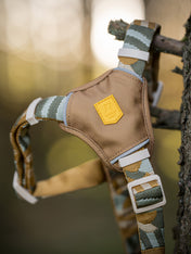 Woolly-Wolf-harnais-pour-chien-Cloudbeam