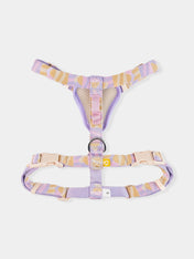 Woolly-Wolf-harnais-pour-chien-Sunshower